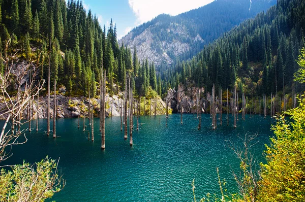 Tien Shan dağındaki Kaindy Gölü, Kazakistan. 