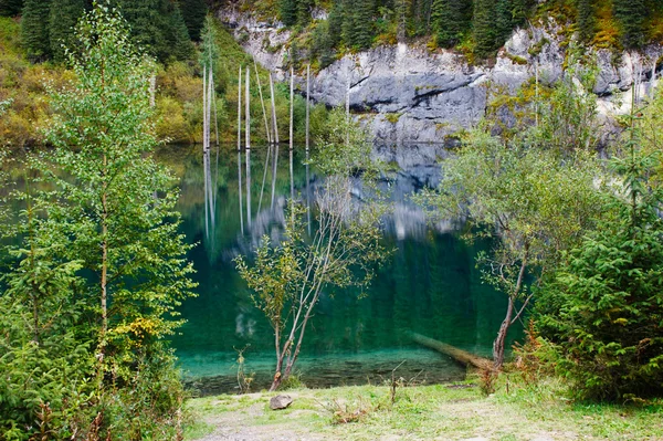 Kaindy-tó a kazahsztáni Tien Shan hegységben. — Stock Fotó