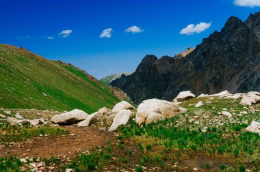 alpine meadows güzel görünümü
