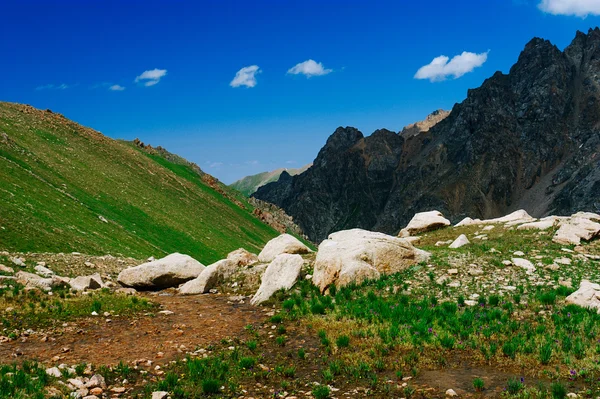 Bela vista dos prados alpinos — Fotografia de Stock