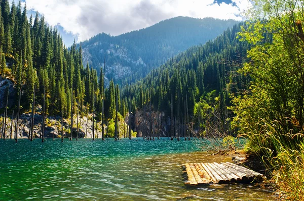 Lago Kaindy en la montaña Tien Shan, Kazajstán. — Foto de Stock