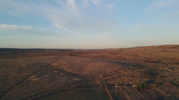 Drohne fliegt über Feld — Stockvideo