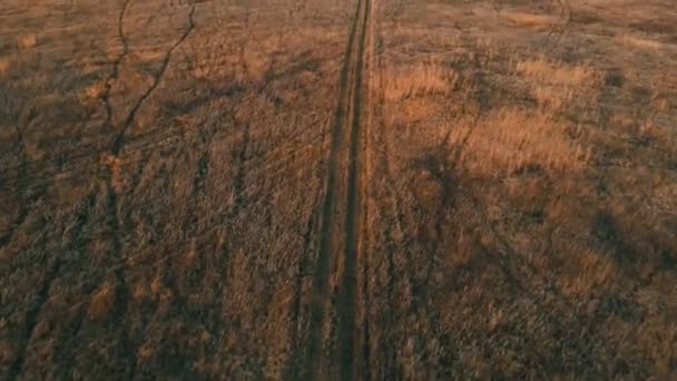 Repülőgép drón repül a mező felett — Stock videók