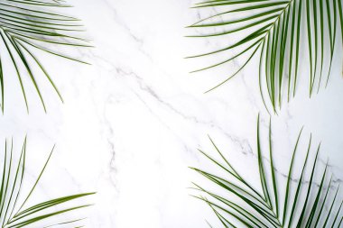 Açık mermer zemin üzerinde tropik boyalı yaprak çerçeve. Yaz kavramı. Düz yatış, üst görünüm.