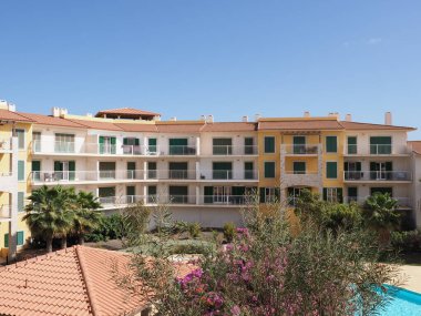Cape Verde 'deki Sal Adası' nda egzotik ve tropikal ağaçlar