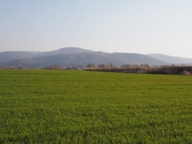 Polonya 'nın Bielsko-Biala şehrinde barışçıl Silezya Beskid Dağları
