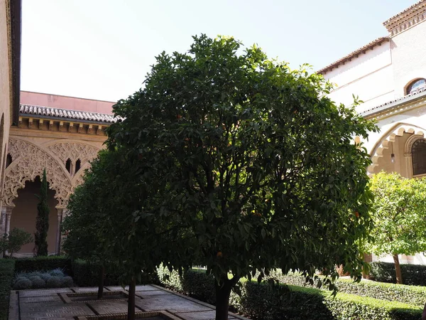 Kloster och träd på gården av palatset i Saragossa stad i Spanien — Stockfoto