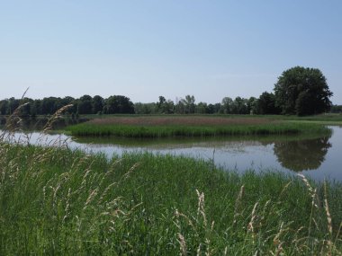 Polonya 'nın Silezya bölgesindeki Goczalkowice kasabasında Lakeside gölet manzarası. 2020 'de açık mavi gökyüzü Haziran' da güneşli bir bahar günü.