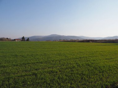 Polonya 'nın Bielsko-Biala kentindeki spor havaalanından görülen çimen ve Silezya Beskid Dağları, Nisan' ın 2020 'de güneşli bahar gününde açık mavi gökyüzü.