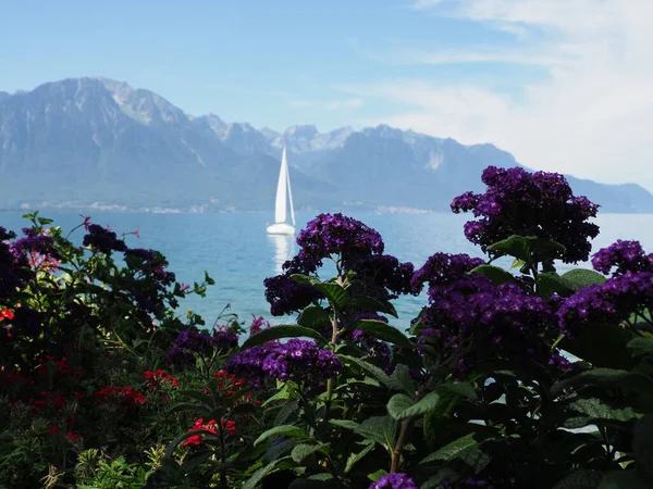 Біла яхта і квіти на променаді в Монтре, Швейцарія. — стокове фото