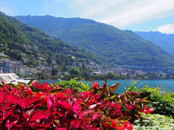 Maravilhosas flores vermelhas no passeio marítimo na cidade de Montreux, na Suíça — Fotografia de Stock