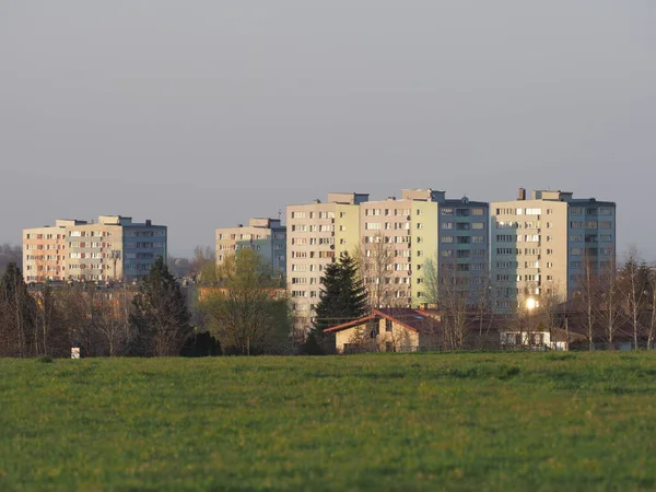 Polonya 'nın Bielsko-Biala şehrindeki otlaklar ve apartman blokları