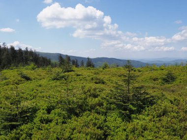 Salmopol geçidi yakınlarındaki güzel Silesian Beskids Dağları, Polonya