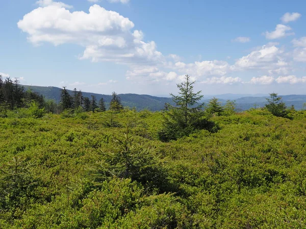 Salmopol geçidi yakınlarındaki parlak Silesian Beskids Dağları, Polonya — Stok fotoğraf