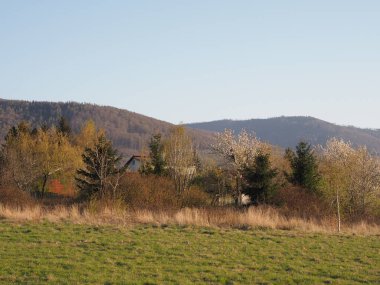 Polonya 'nın Avrupa Bielsko-Biala şehrindeki Silezya Beskid Dağları doğası 2020' nin güneşli bahar gününde açık mavi gökyüzü.
