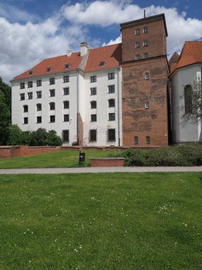 Famous castle of Piast dynasty in Brzeg city in Poland - vertical