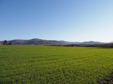 Polonya 'nın Avrupa Bielsko-Biala şehrindeki Silezya Beskid Dağları, 2020' nin güneşli bahar gününde açık mavi gökyüzü.