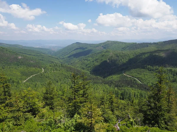 Silezya Beskids 'un doğası Polonya' da Salmopol geçidi yakınlarındaki manzaralar — Stok fotoğraf