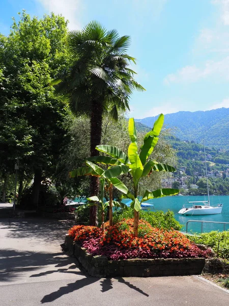 Promenade Lake Geneva European Montreux City Canton Vaud Switzerland Clear — Zdjęcie stockowe