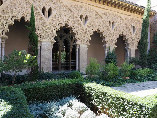 Courtyard Plants European Saragossa City Aragon District Spain Clear Blue — Stockfoto