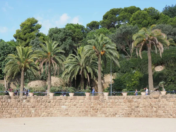 Palm Trees Park Guell European Barcelona City Catalonia District Spain — Stockfoto