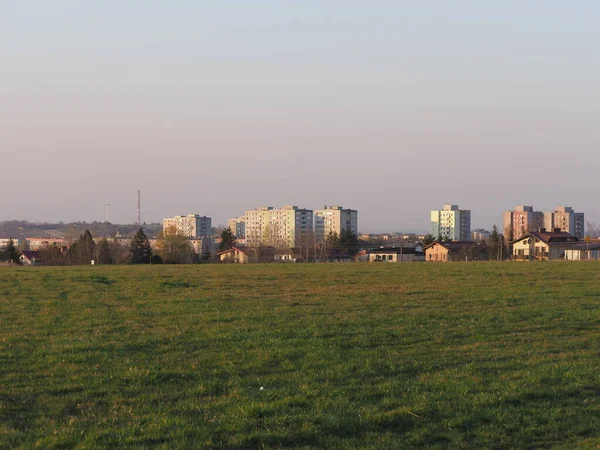Grasveld Flatgebouwen Europese Stad Bielsko Biala Het Silezische District Polen — Stockfoto