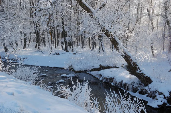 Winter landscape with frosted trees — Stock Photo, Image