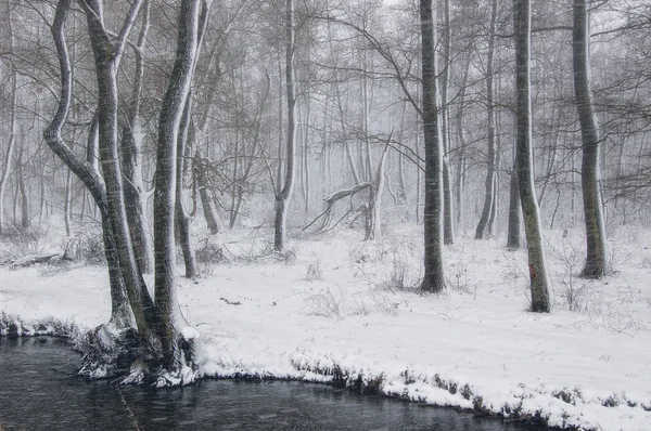Paisagem de inverno com árvores geadas e rio na floresta — Fotografia de Stock