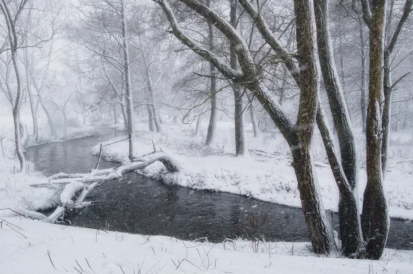 Buzlu ağaçlar ve ormandaki nehir kış manzarası