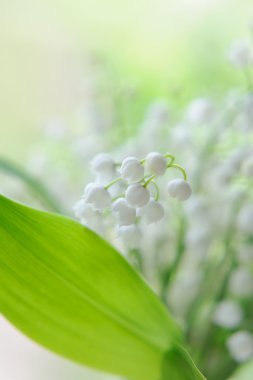 Lily of the valley bouquet in glass on natural background clipart