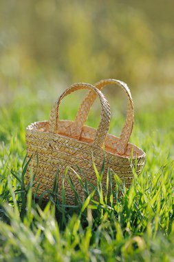 Taze yeşil çim açık boş hasır sepet