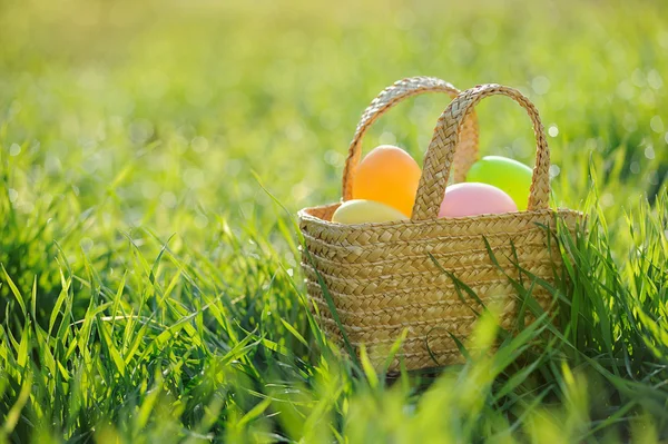 Koš plný kraslic a králík dekorace v zelené trávě — Stock fotografie