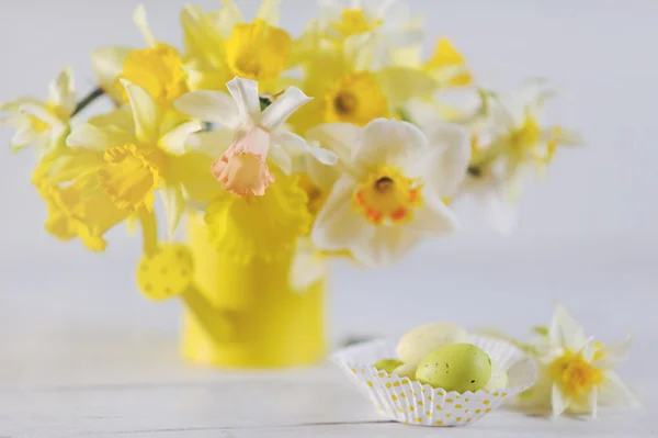 Springtime colorful daffodils in full bloom on white wooden table — Stock Photo, Image