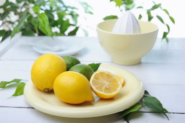 Narenciye Sıkacağı ve taze limon taze limonata yapmak için kullanılan