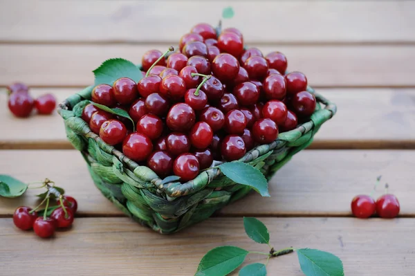 Basket of fresh ripe cherries on the wooden table in the garden — Stock Photo, Image