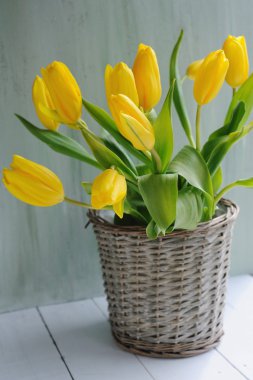 Sepette bahar Sarı Lale buketi