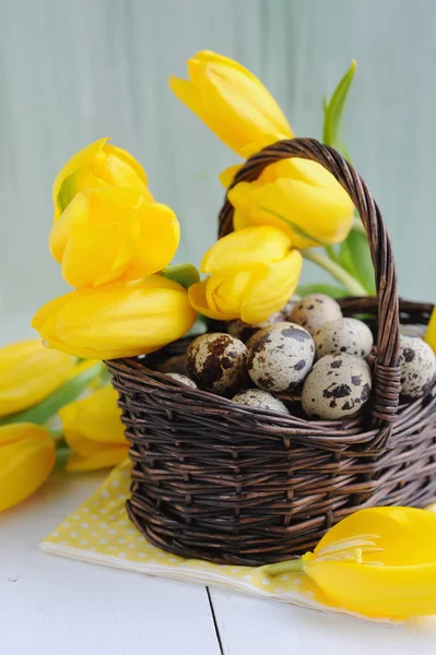 Ovos de codorna de Páscoa na cesta e tulipas amarelas no fundo pintado — Fotografia de Stock