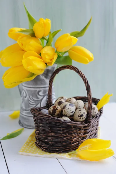 Easter quail eggs in the basket and yellow tulips on painted background — Stock Photo, Image