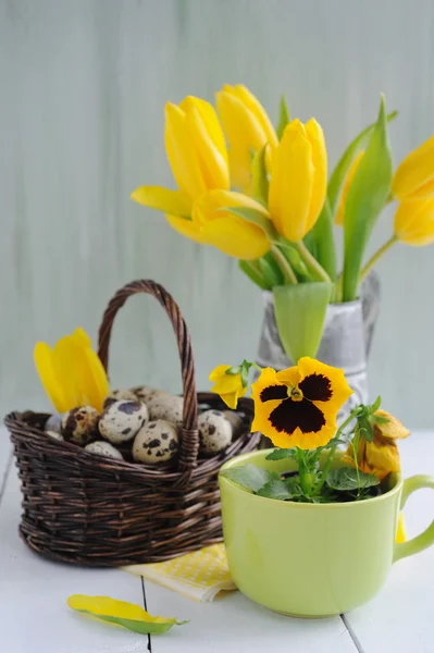 Easter quail eggs in the basket and yellow tulips on painted background — Stock Photo, Image