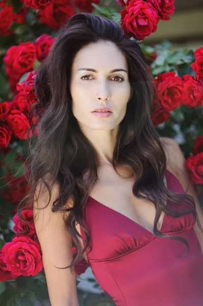 Portrait of beautiful brunette woman beside a wall from rosebush — Stock Photo, Image