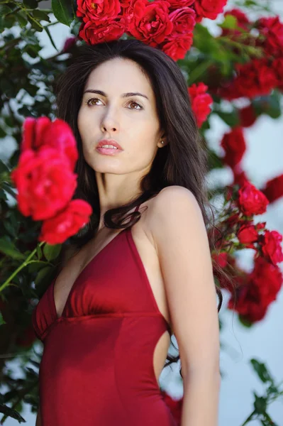 Portrait of beautiful brunette woman beside a wall from rosebush — Stock Photo, Image