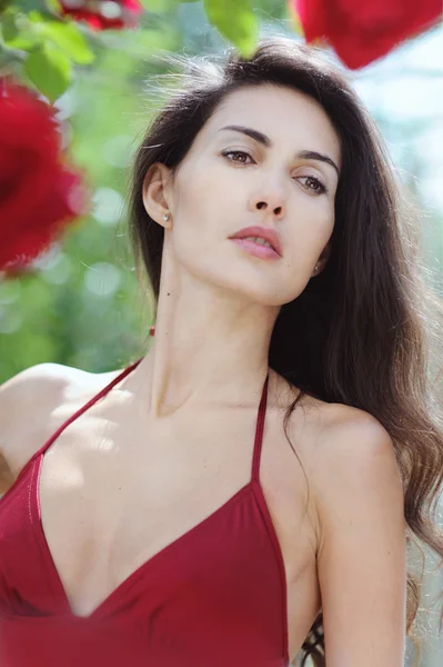 Portrait of beautiful brunette girl in red roses — Stock Photo, Image