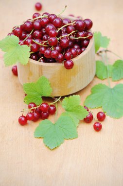 Ahşap kase taze kırmızı kuş üzümü açık ile