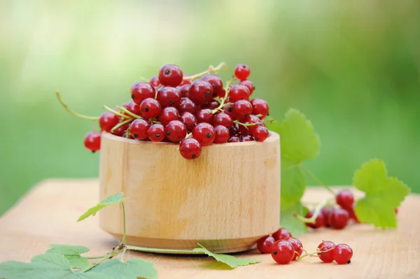 Wooden bowl with fresh red currants outdoor — Stock Photo, Image