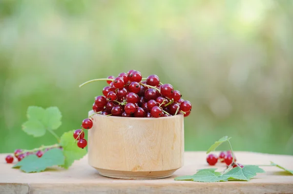 Wooden bowl with fresh red currants outdoor — Stock Photo, Image