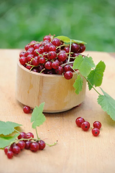 Cuenco de madera con grosellas rojas frescas al aire libre — Foto de Stock