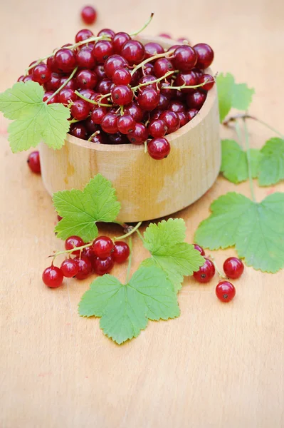 Ahşap kase taze kırmızı kuş üzümü açık ile