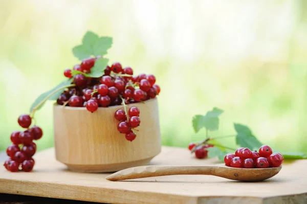 Ahşap kase taze kırmızı kuş üzümü açık ile