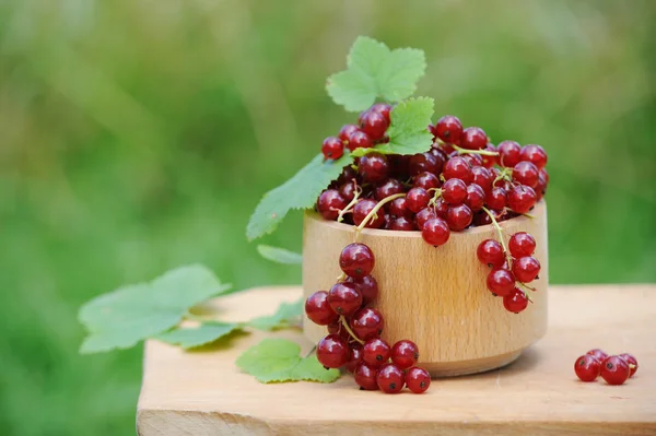 Wooden bowl with fresh red currants outdoor — Stock Photo, Image