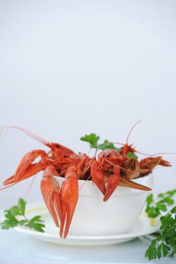 White bowl of boiled crayfish outdoor clipart
